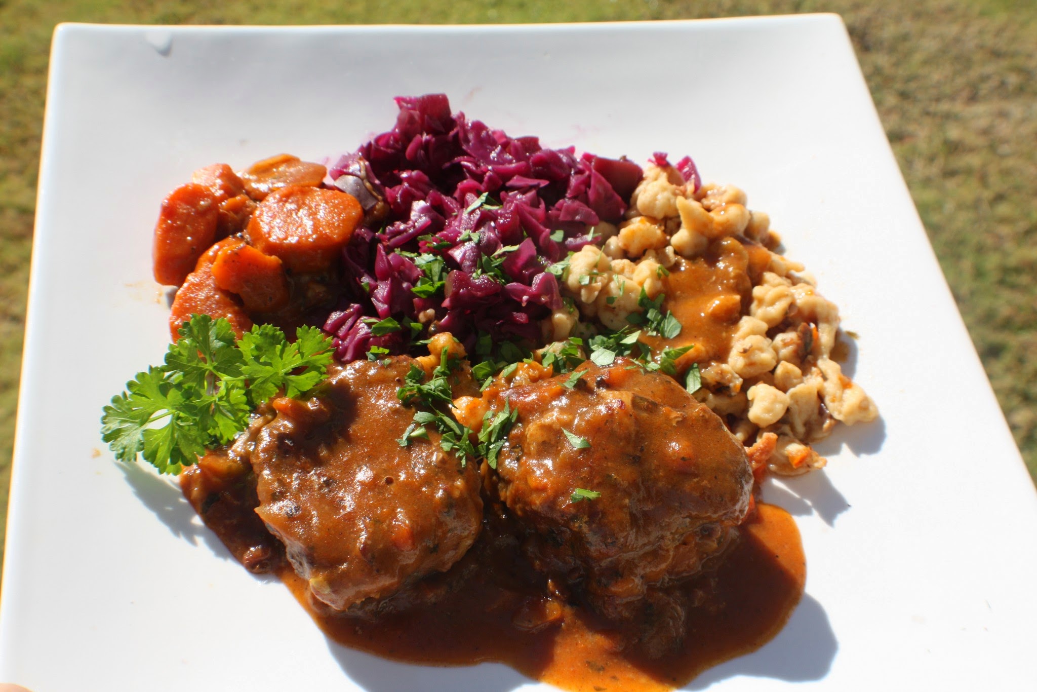 Schweitzer Steak Plated