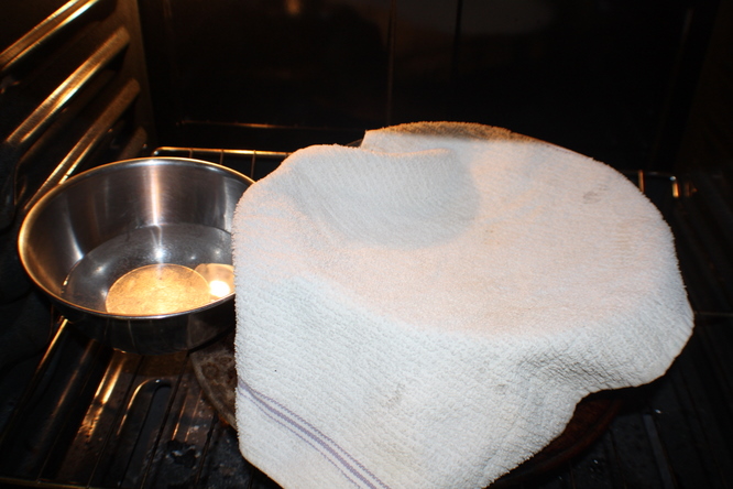 Cover the dough and let rise