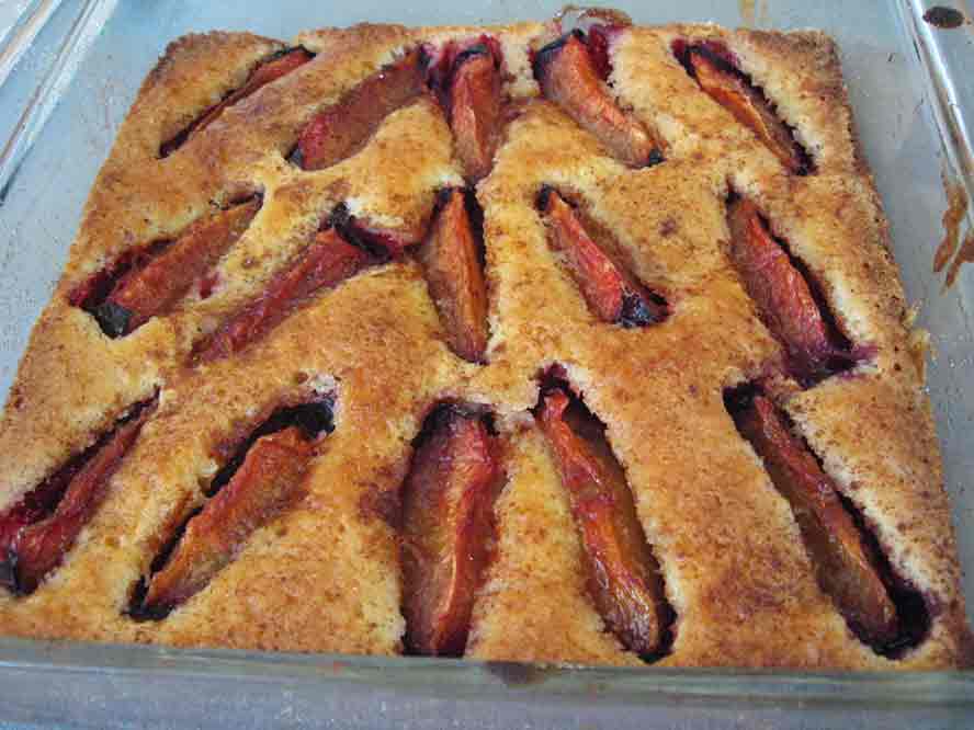baked-plum-cake-square