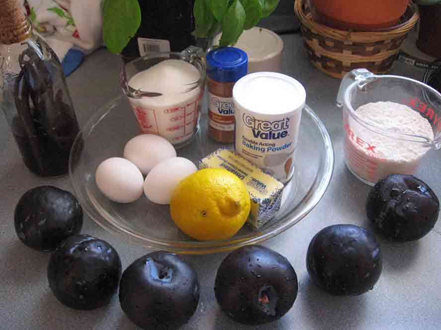 ingredients-plum-cake