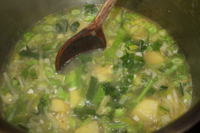 Simmering soup with vegetables and broth